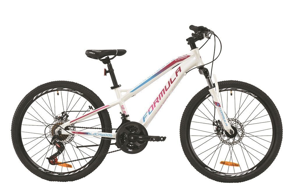 Велосипед 24" Formula BLACKWOOD 2.0 (OPS-FR-24-179), AM DD рама-12,5" AL бело-фиолетовый с голубым (м) 2020