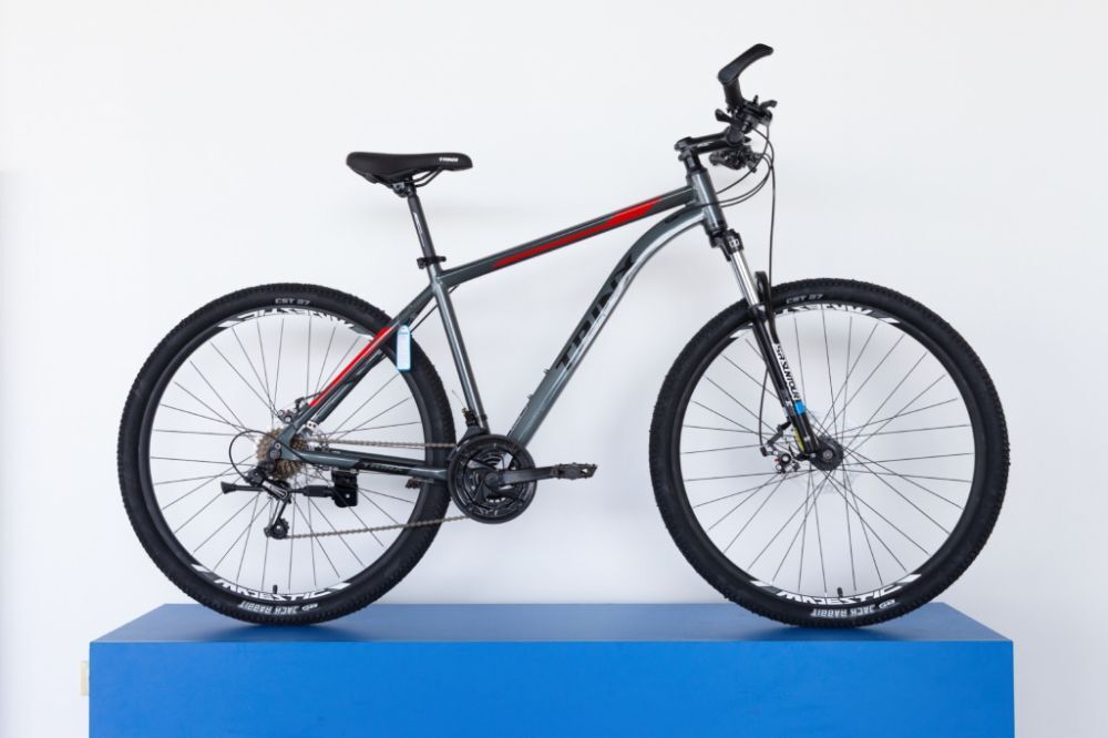 Велосипед 29" TRINX M116 Expert Pro, DD рама-17" AL, Grey-Black-Red